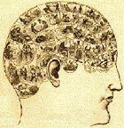 Phrenology head