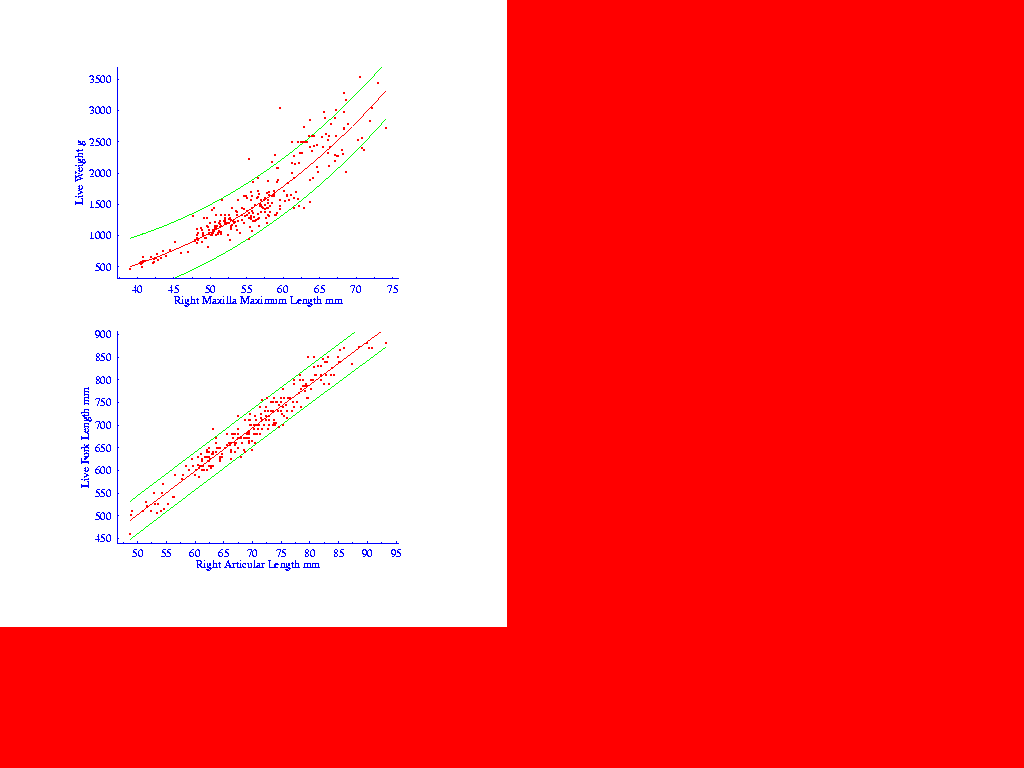 Allometric Graph